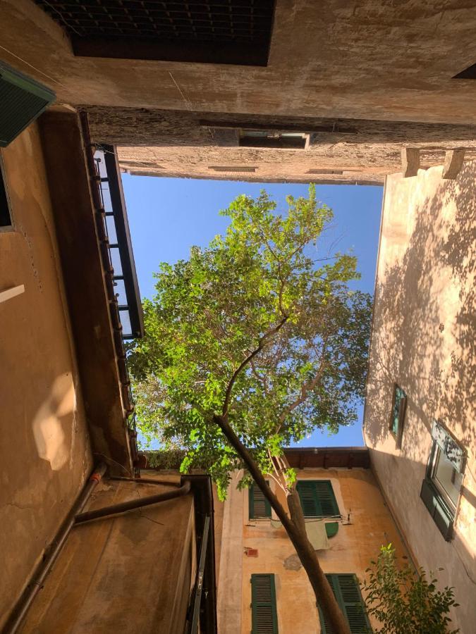 Navona Apartment Rome Buitenkant foto
